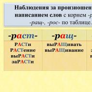 Summary of the Russian language lesson according to the Federal State Educational Standards